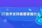 IT技术支持到底是干啥的？别被名字唬住了