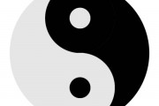 双人AI太极：让科技为伴侣健康搭座桥