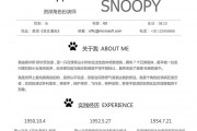 售前想拿高薪，简历千万别写成“产品说明书”