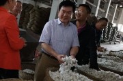养蚕不用背篓筐，这些省力“黑科技”让老把式们都惊呆了！