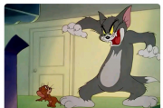 会说话的汤姆猫，现在真成精了？聊聊我家那个治好了我精神内耗的AI搭子
