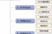 解锁细胞改造的钥匙：转导技术如何让基因转移变得更精准高效