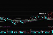 上海AI股票这波“金花”炸开，我扒了扒背后那些扎心的真相和机会！